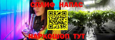 сатива Ачхой-Мартан