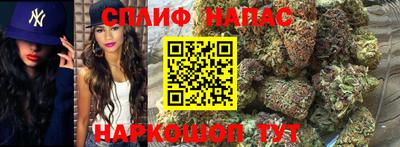 мяу мяу кристалл Аша