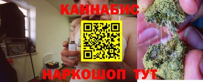 сатива Ачхой-Мартан