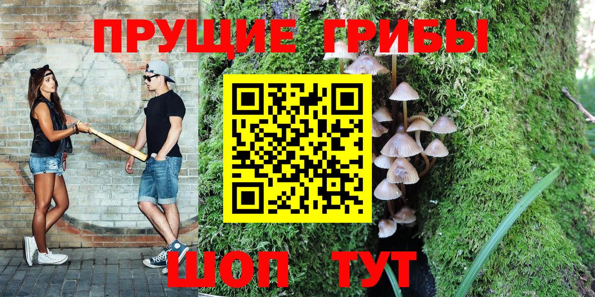 Галлюциногенные грибы Cubensis Гурьевск