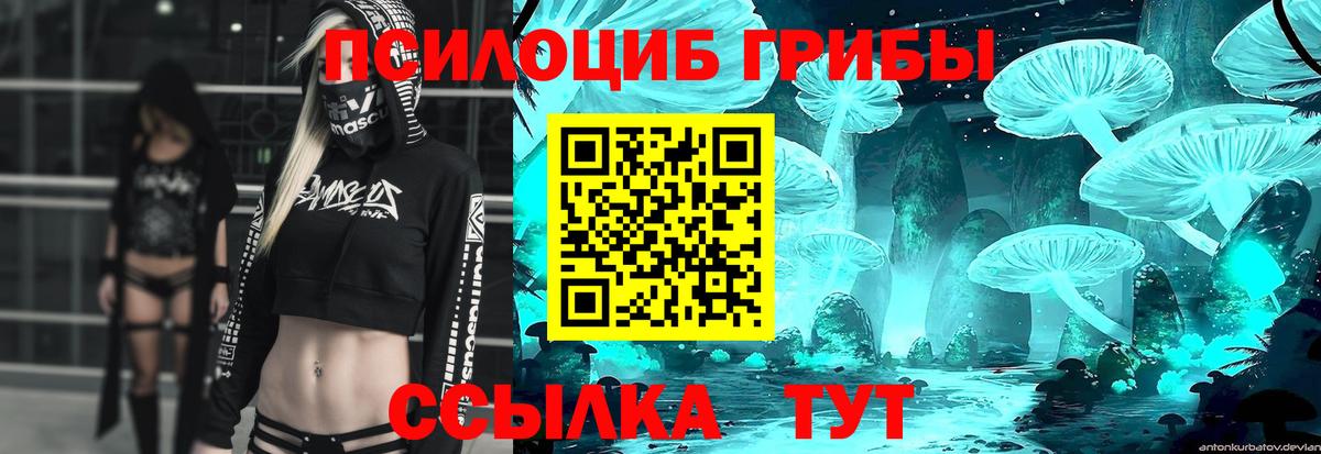 Галлюциногенные грибы GOLDEN TEACHER  Псилоцибиновые грибы Psilocybine cubensis  Гурьевск  Вход с VPN 